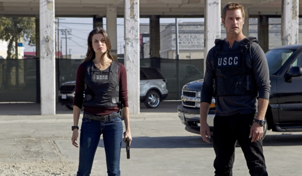 Intelligence - The Grey Hat