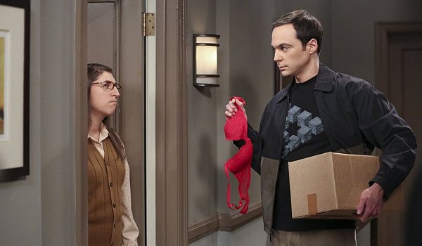 The Big Bang Theory - The Separation Oscillation