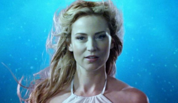 The Librarians and the Cost of Education