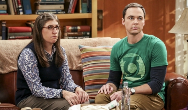 The Big Bang Theory - The Cohabitation Experimentation