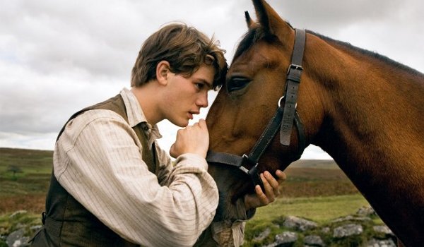 War Horse