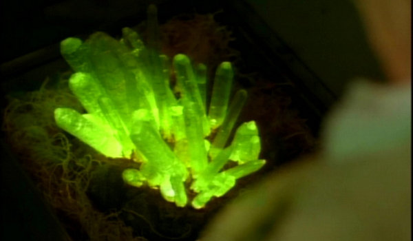 Lois & Clark: Strange Visitor (From Another Planet) / The Green, Green Glow of Home