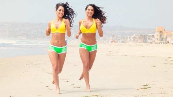 The Bella Twins Brie and Nikki Bella