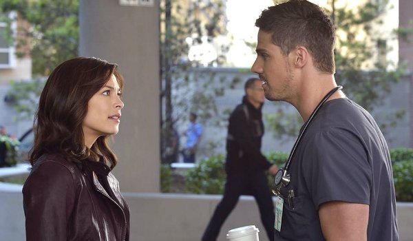 Beauty and the Beast - Bob & Carol & Vincent & Cat