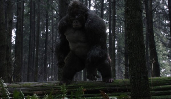 The Flash - Attack on Gorilla City television review