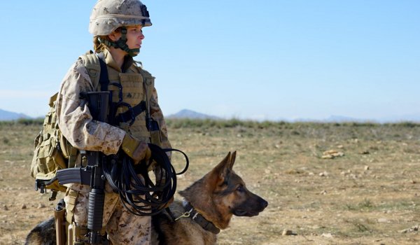 Meagan Leavey movie review