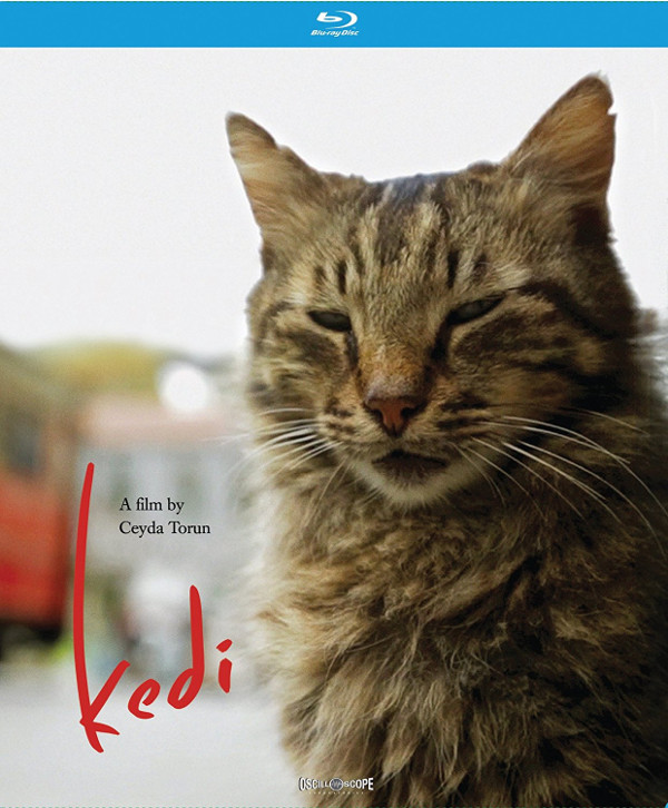 Kedi Blu-ray review