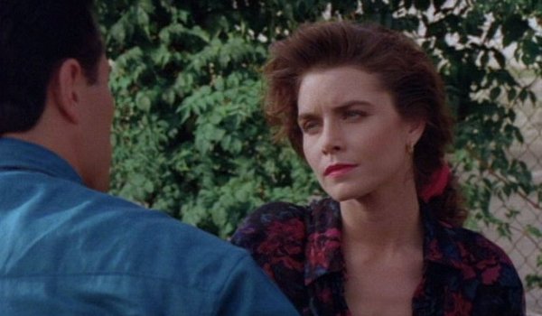 Silk Stalkings - Going to Babylon television review