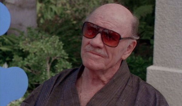 Silk Stalkings - Going to Babylon television review