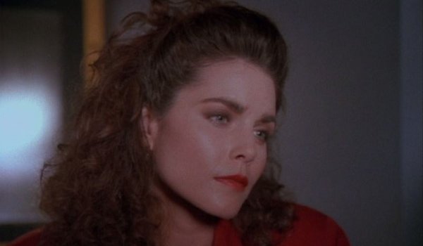 Silk Stalkings - Going to Babylon television review