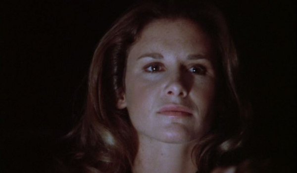 Remington Steele - Signed, Steeled, and Delivered television review