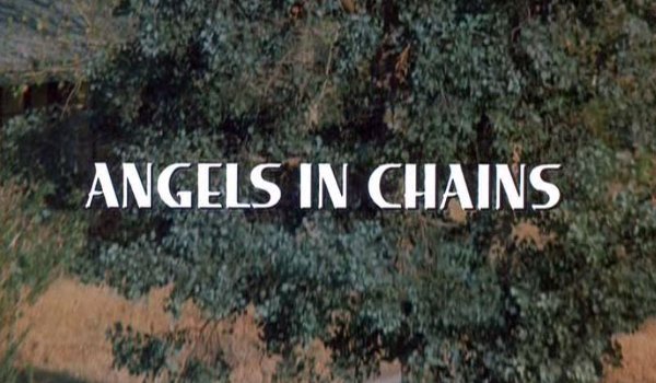 Charlie's Angels - Angels in Chains television review
