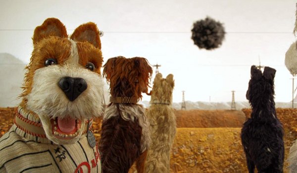 Isle of Dogs Blu-ray review