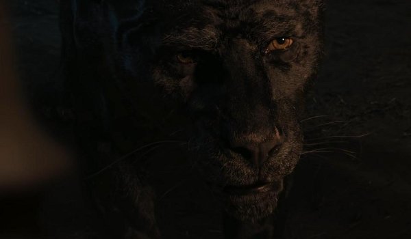 Mowgli: Legend of the Jungle movie review