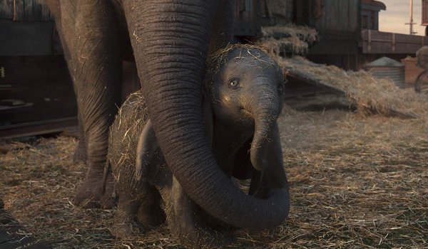 Dumbo movie review