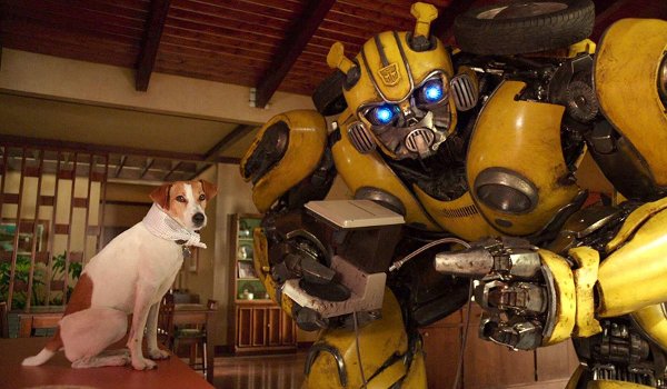 Bumblebee DVD review