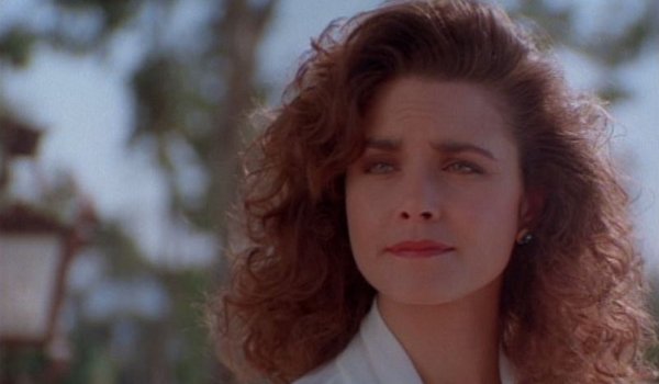 Silk Stalkings - Hardcopy television review