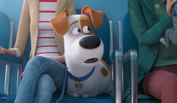 The Secret Life of Pets 2 Blu-ray review